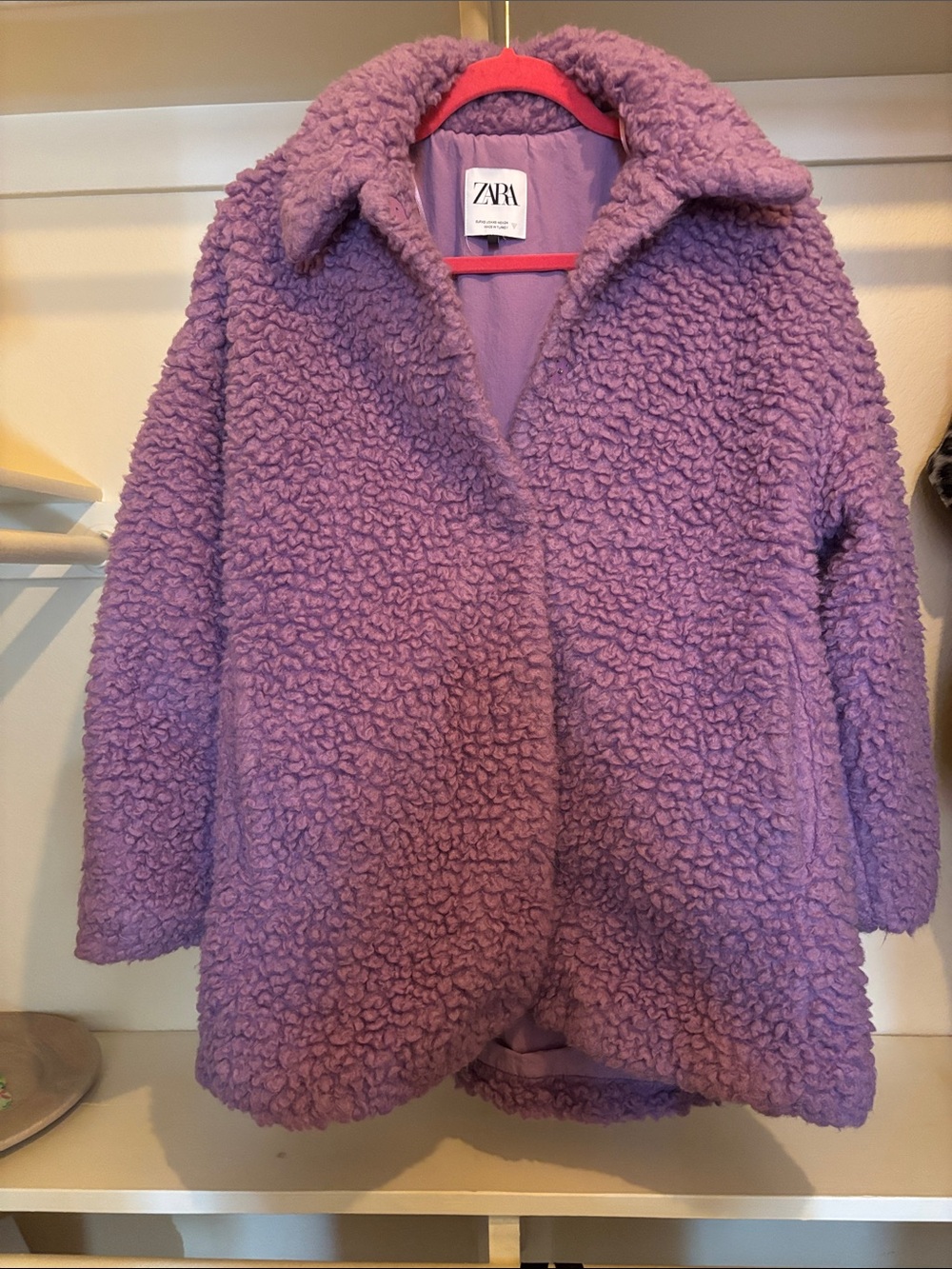 Zara Teddy Faux Shearling Snap-front Jacket